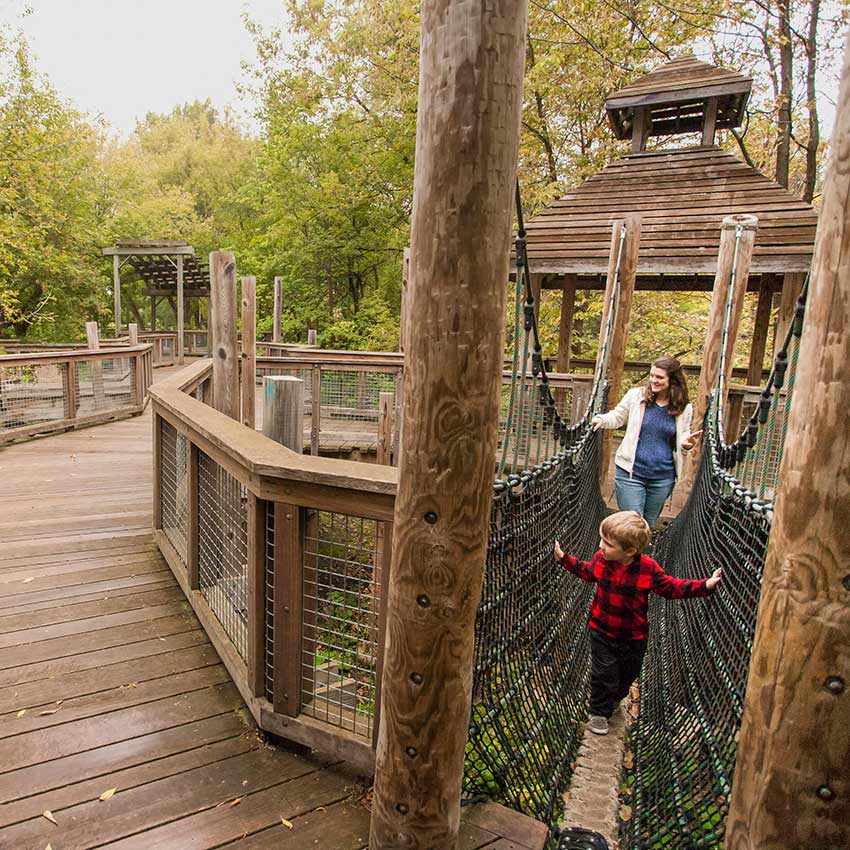 image of a wooded rope course